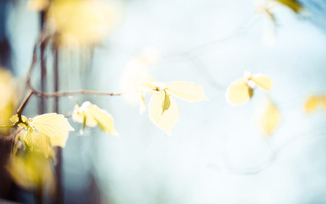 Penkių minučių gyvenimo istorija