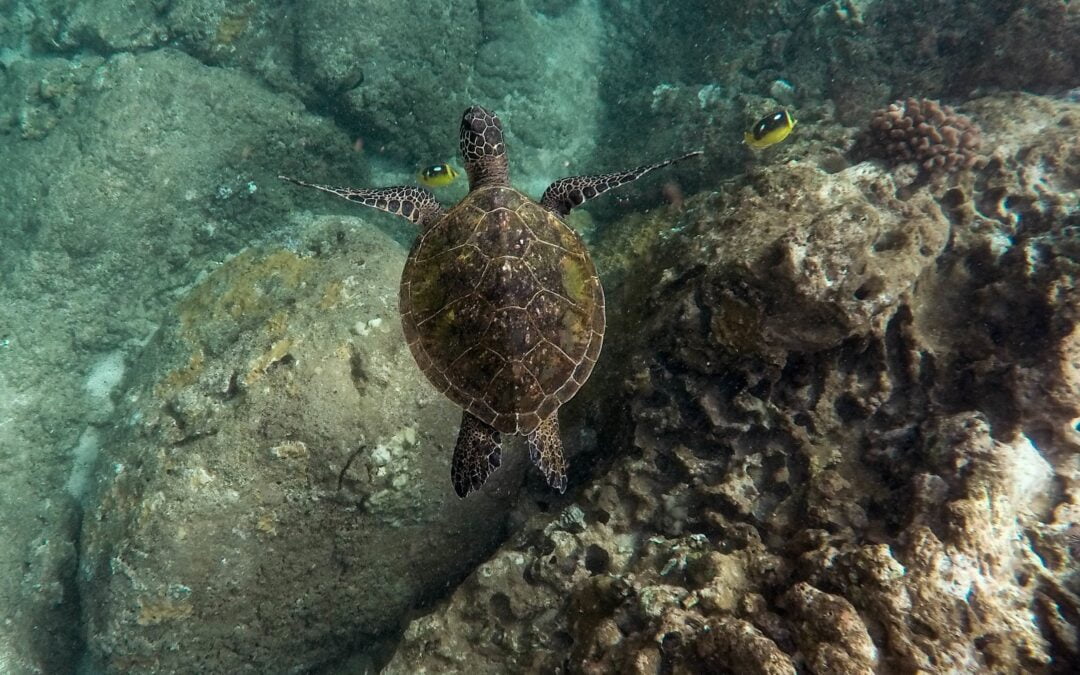 Laisvasis rašymas – kelias į pasąmoninį minčių srautą
