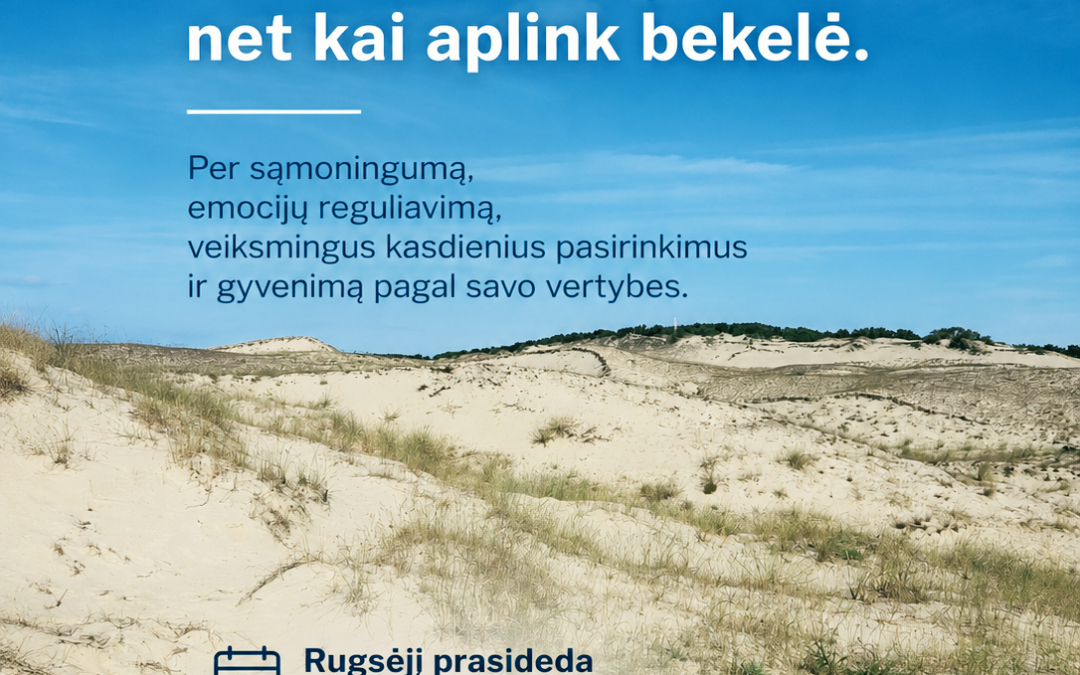 Dialektinės elgesio terapijos (DBT) įgūdžių grupė
